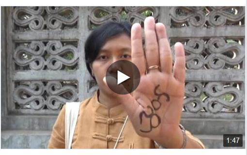 INTERVIEW (01/2015): 2015 Palm Campaign – Interviews with Influential Individuals